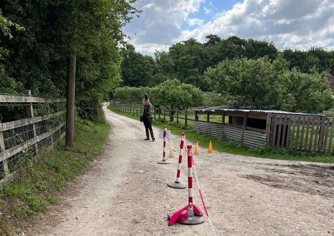 Runners and volunteers had to remove any hi-vis equipment because of the escaped bird. Picture: Maidstone Parkrun