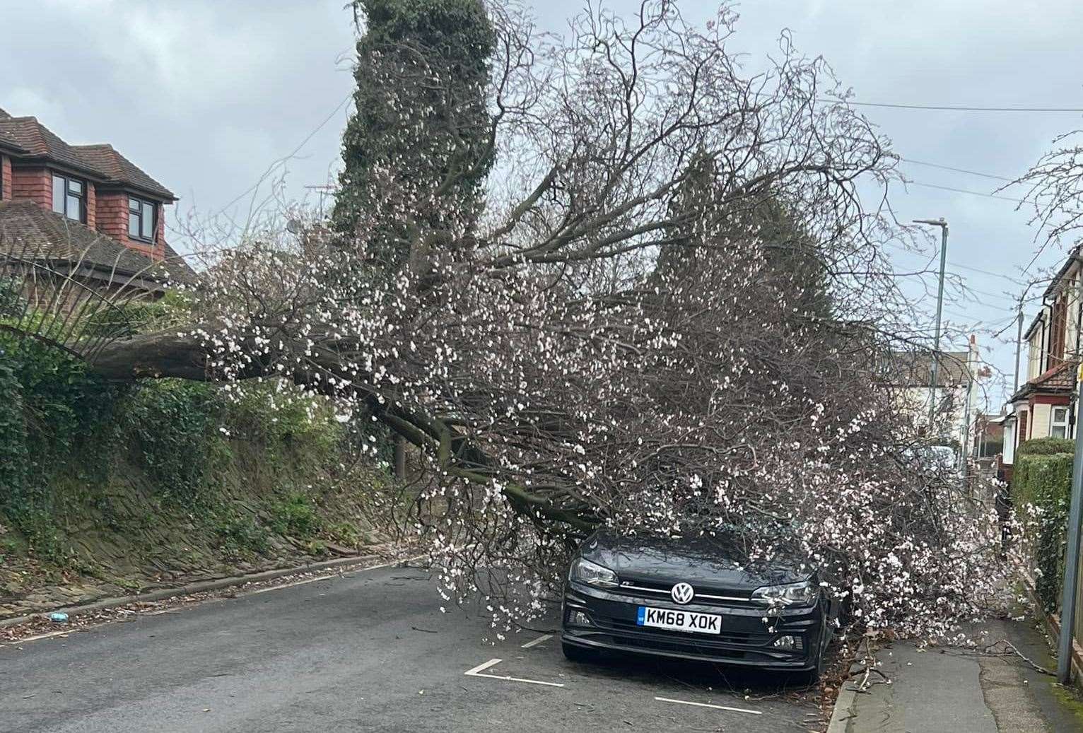 A tree down in Wakeley Road, Rainham. Picture: Lianne Partington