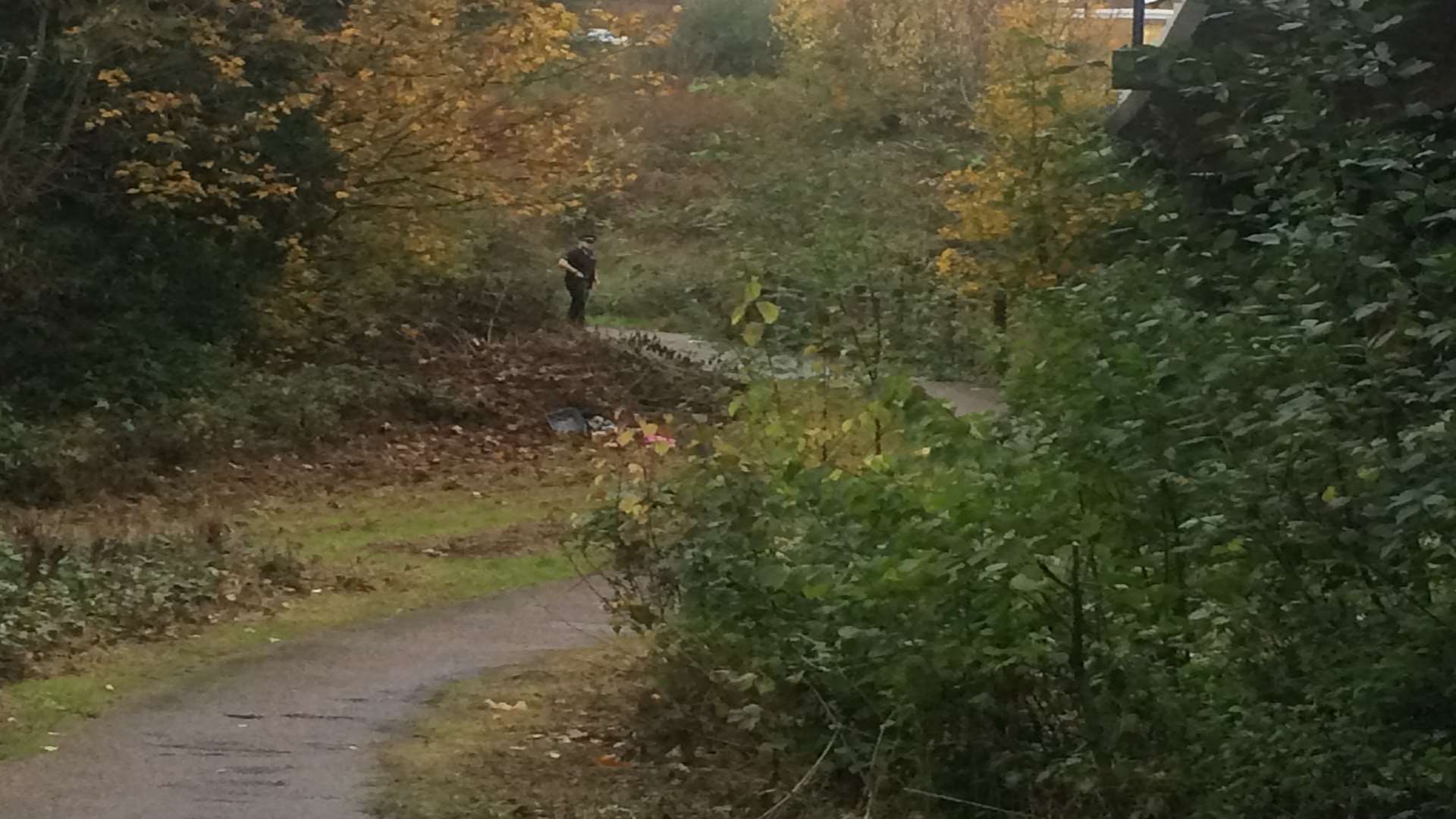 The footpath which runs alongside Sainsbury's car park and under Wat Tyler Way