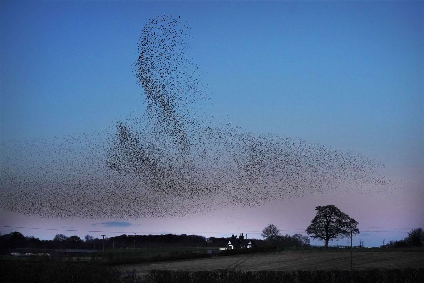 A murmuration of starlings at dusk over Catterick, North Yorkshire, draws crowds of onlookers (Owen Humphreys/PA)