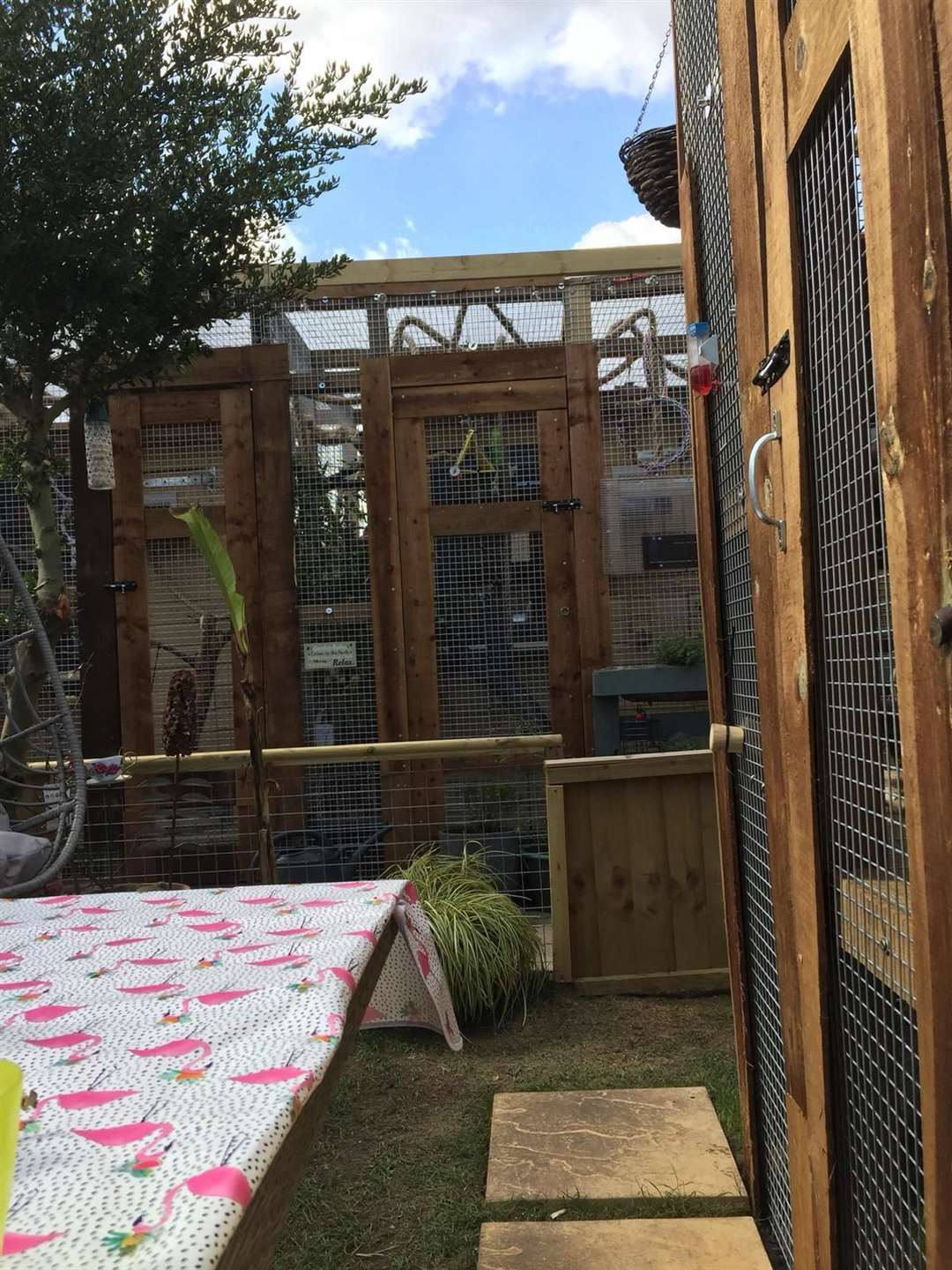 The marmosets enclosures are in the couples back garden in Rochester