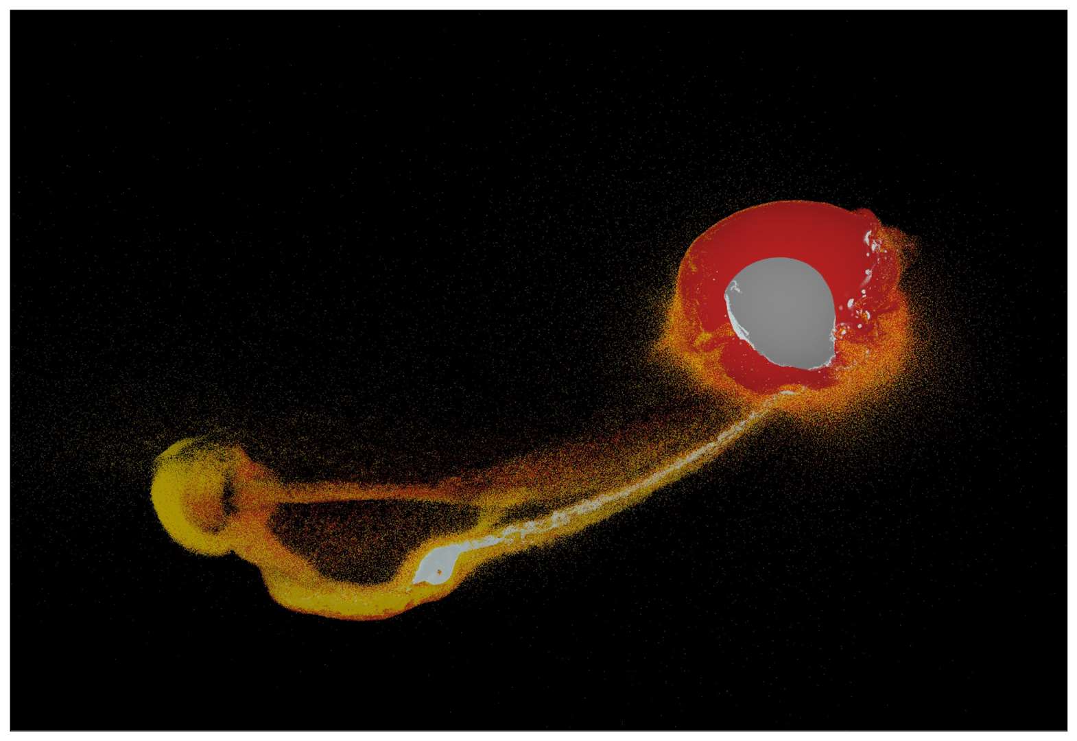 A cross section of a 3D simulation (Sergio Ruiz-Bonilla)