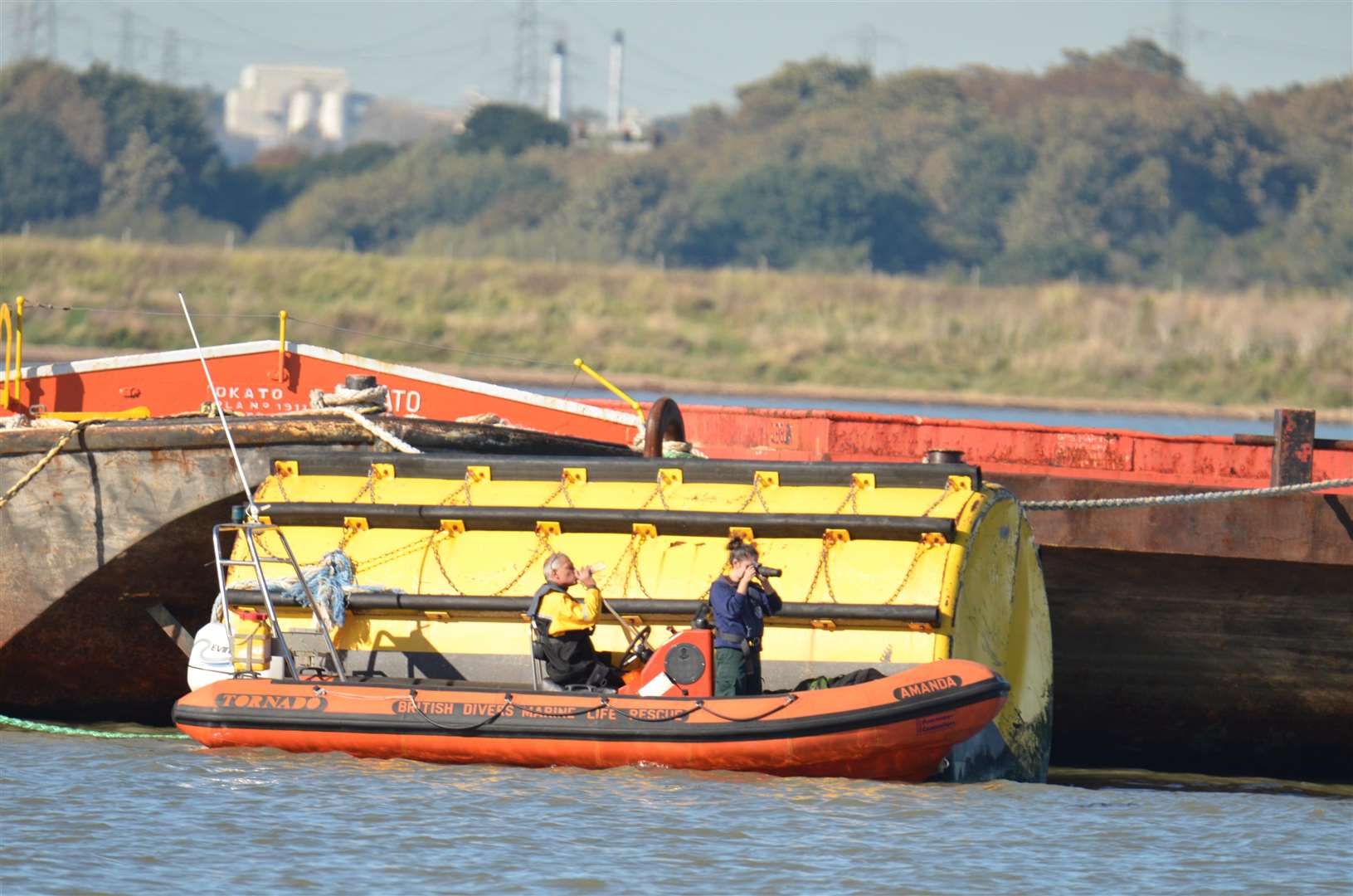 The British Divers Marine Life Rescue plan to record the animal, picture Jason Arthur