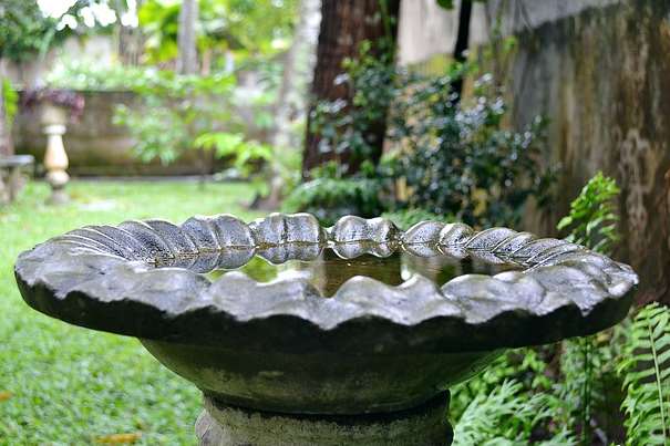 Hoaxers demanding cash for "compulsory bird bath".