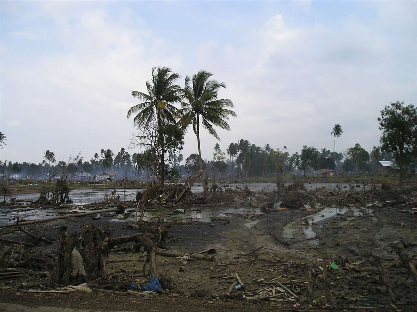 The aftermath of the tsunami in Sri Lanka (ShelterBox)