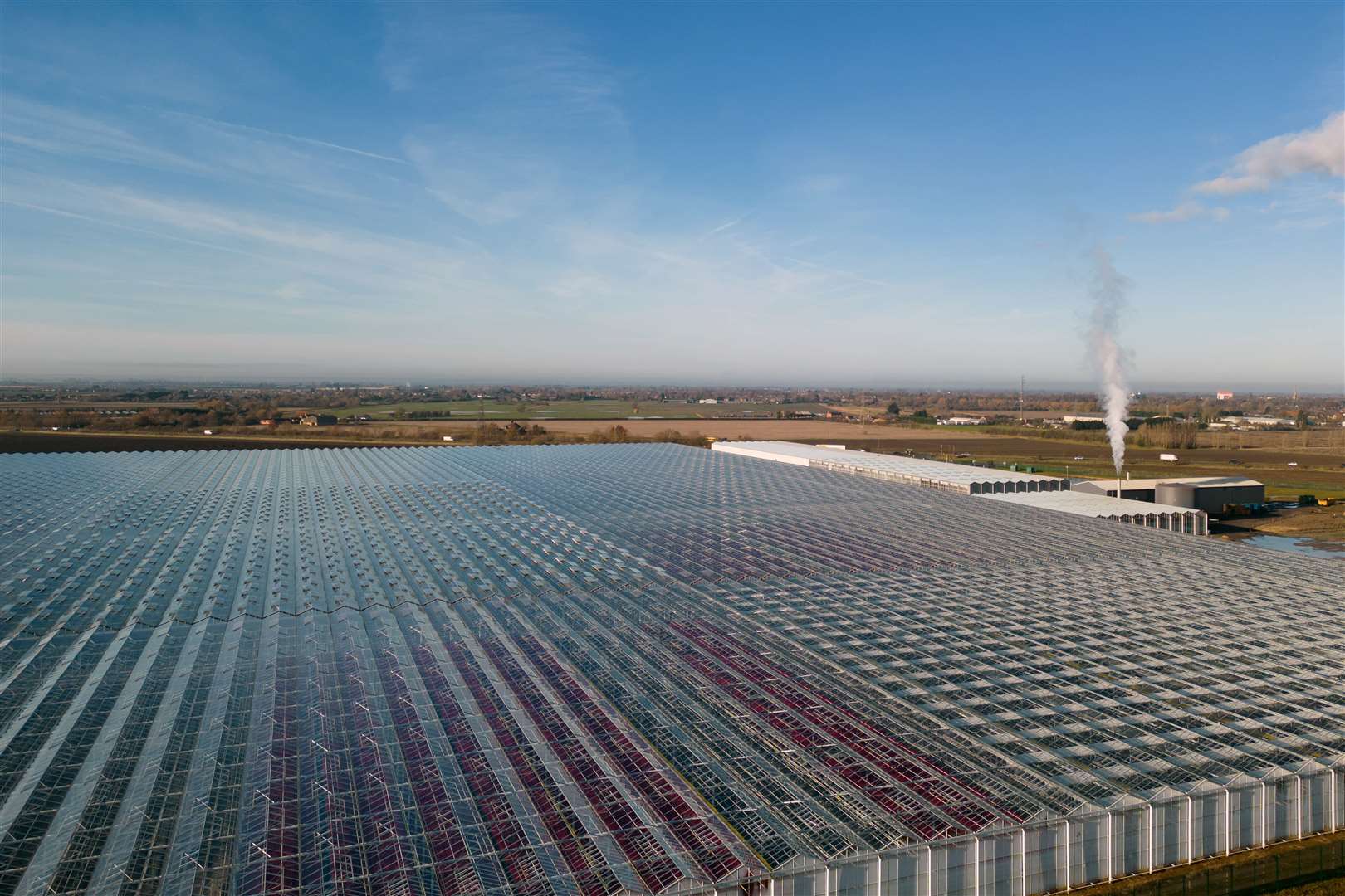 Bridge Farm Group is one of the UK’s biggest growers of poinsettias and now cultivates more than a million per year (Joe Giddens/ PA)