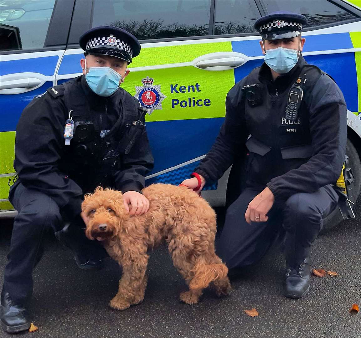Officers found a microchip, enabling them to locate Pippa's rightful owners. Picture: Kent Police