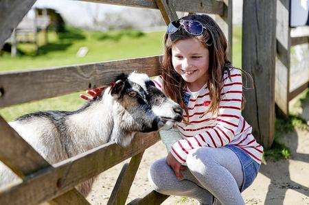 See the farm animals at Kent Life