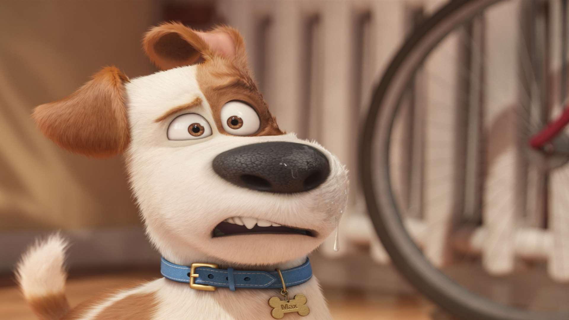 The Secret Life of Pets. Picture: PA Photo/Universal