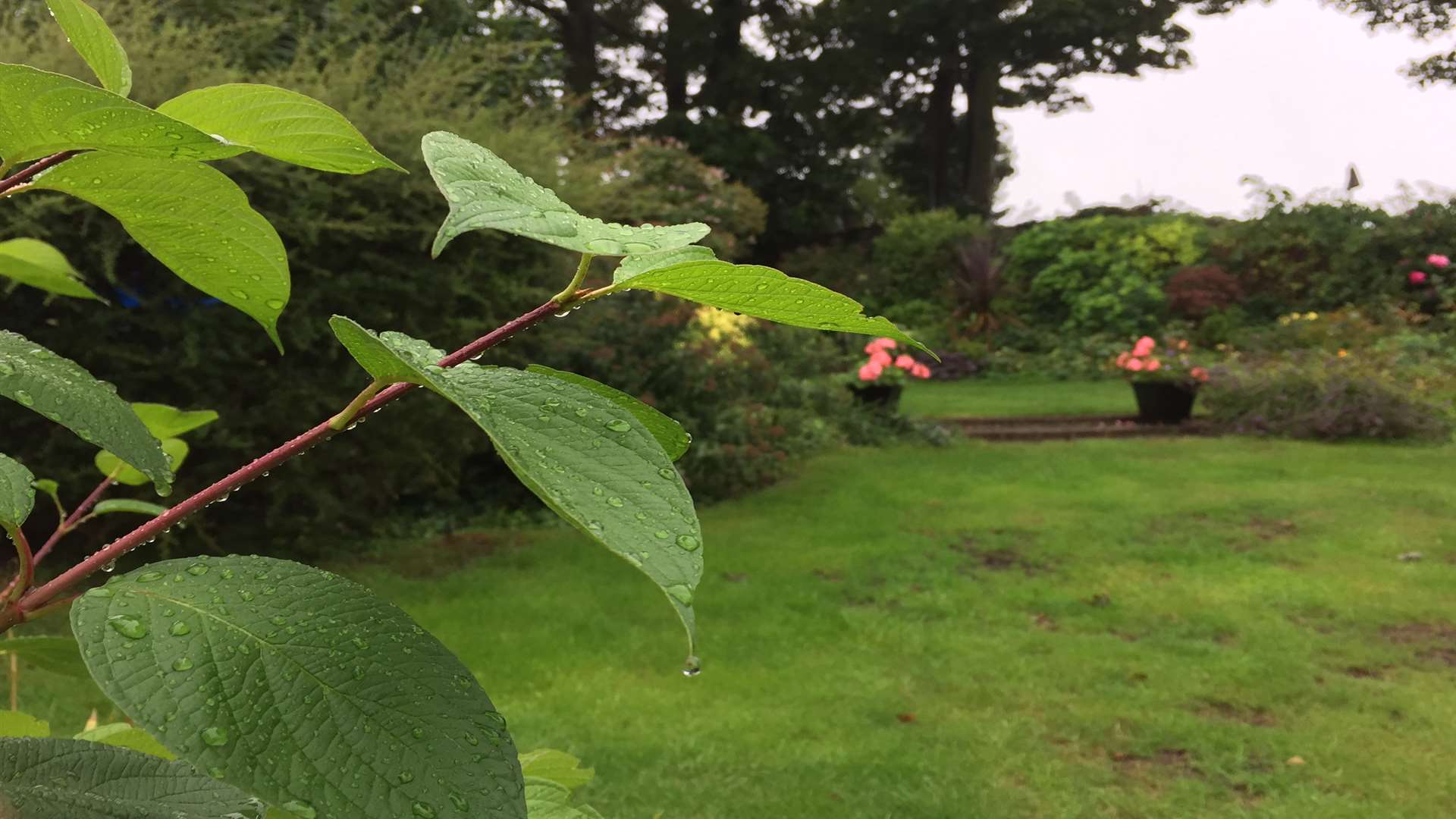 Rain is set to continue across Kent, on and off, for most of the Bank Holiday