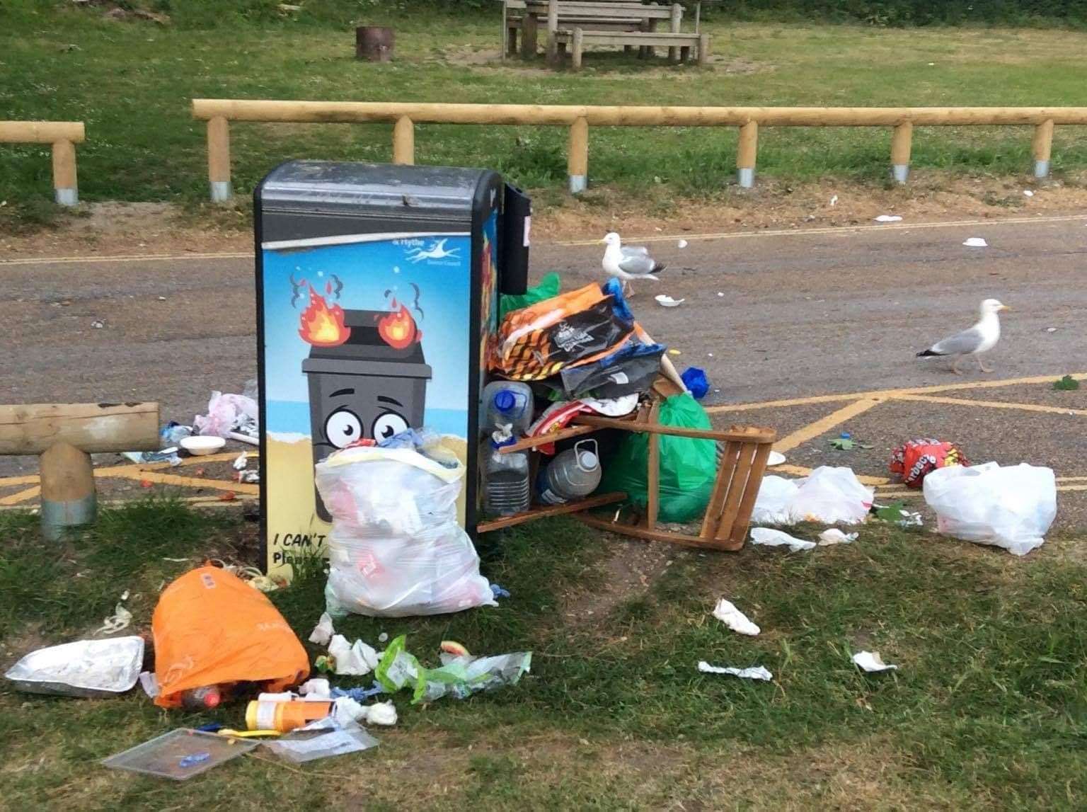 The council is now planning on adding more bins in the coastal park. Picture supplied by Cllr Prater