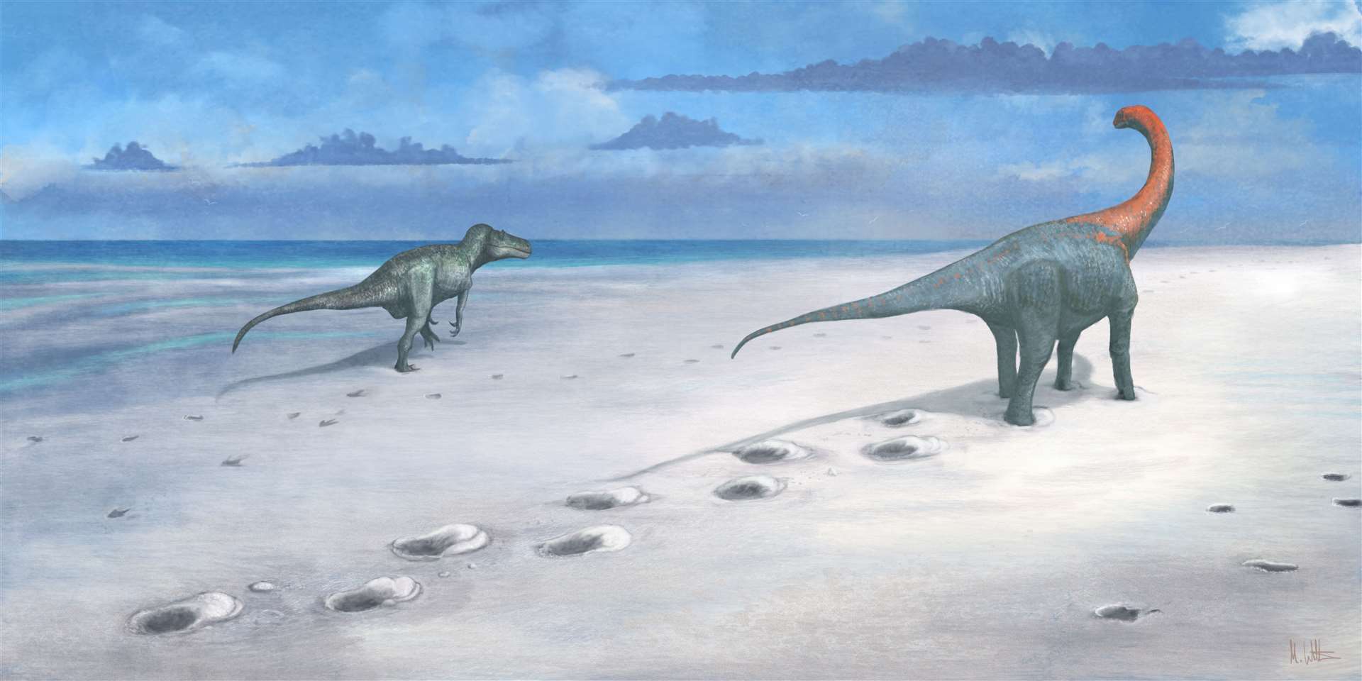 An artist reconstruction of how the Megalosaurus and Cetiosaurus may have created the footprints (Mark Witton/PA)