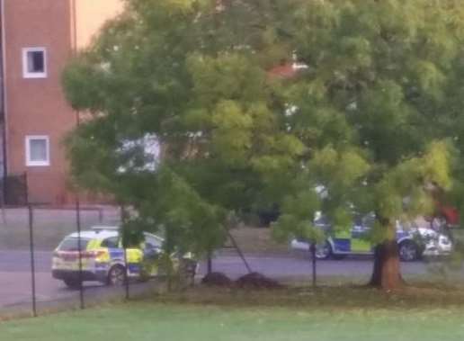 Armed officers were called to the scene