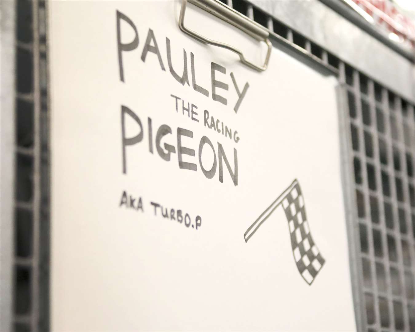 The temporary home for Pauley the pigeon on board HMS Queen Elizabeth (LPhot Luke/PA)