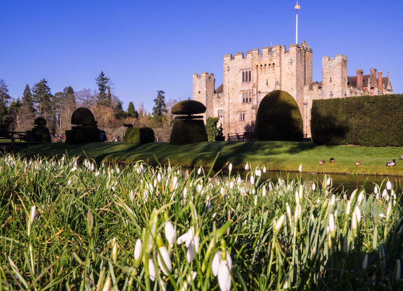 Snowdrops at Hever Castle