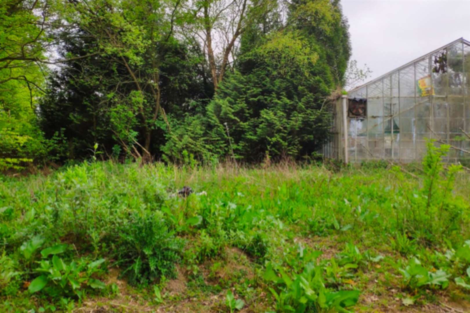 A number of disused greenhouses and nurseries are set to be demolished as part of the development. Picture: Folkestone Garden Centre/ INVVU