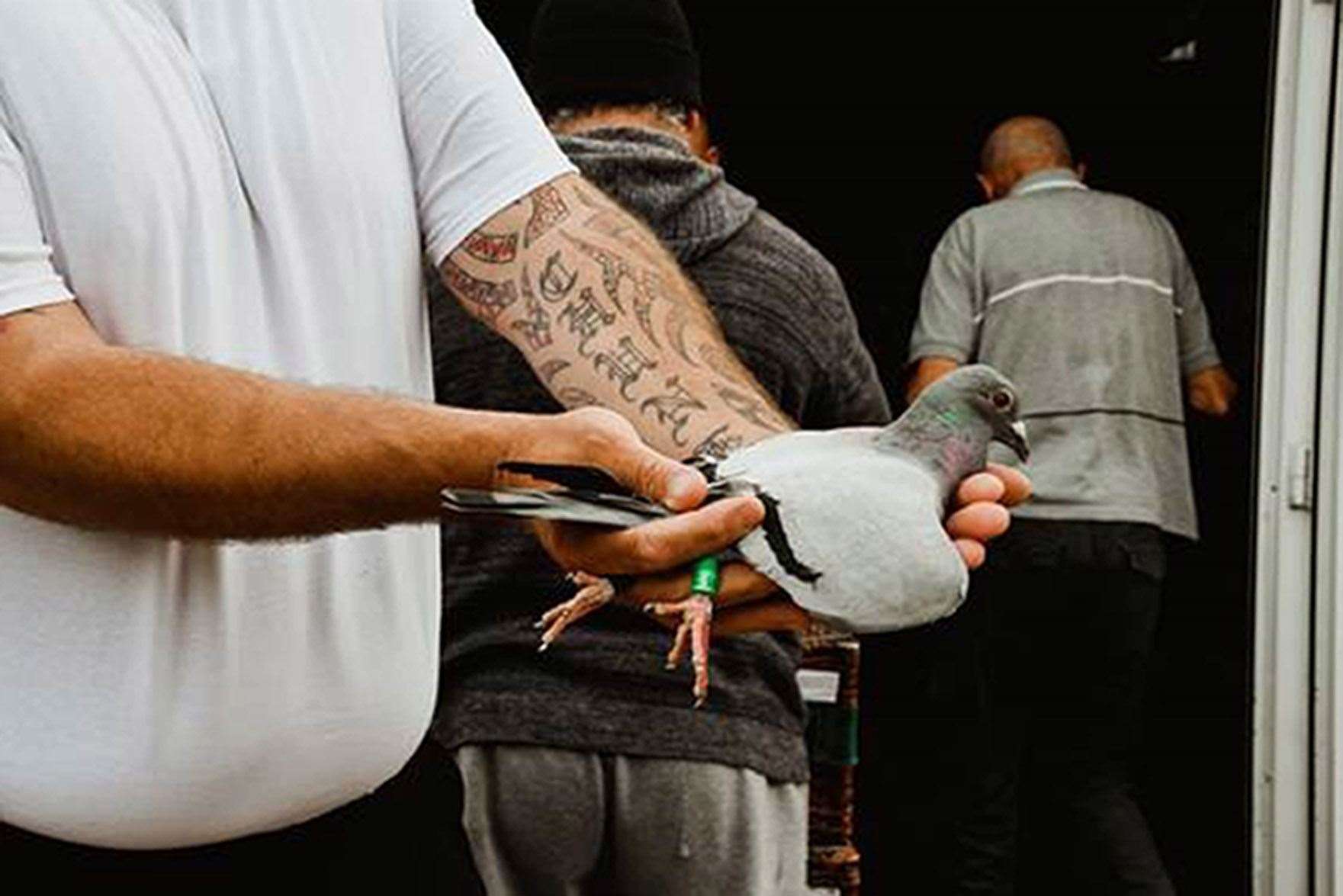 Pigeon fanciers in Blyth (Historic England/PA)