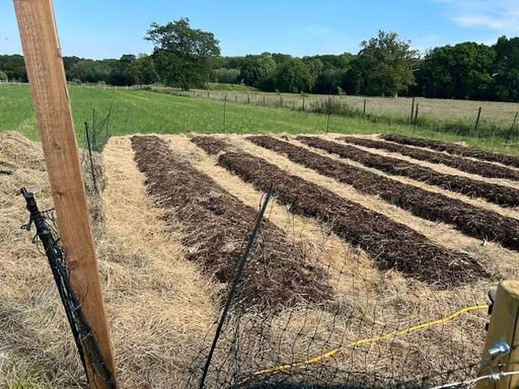 The 1.5 acre test farm in Alton, Hampshire, the site of Jalsa Salana (Attiya Shaukat/PA)