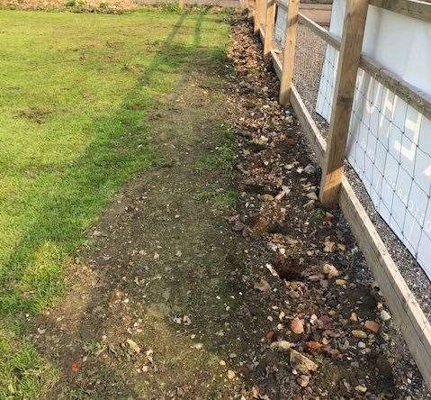 Gone: new trees ripped up at Newington Cricket Club (8393514)
