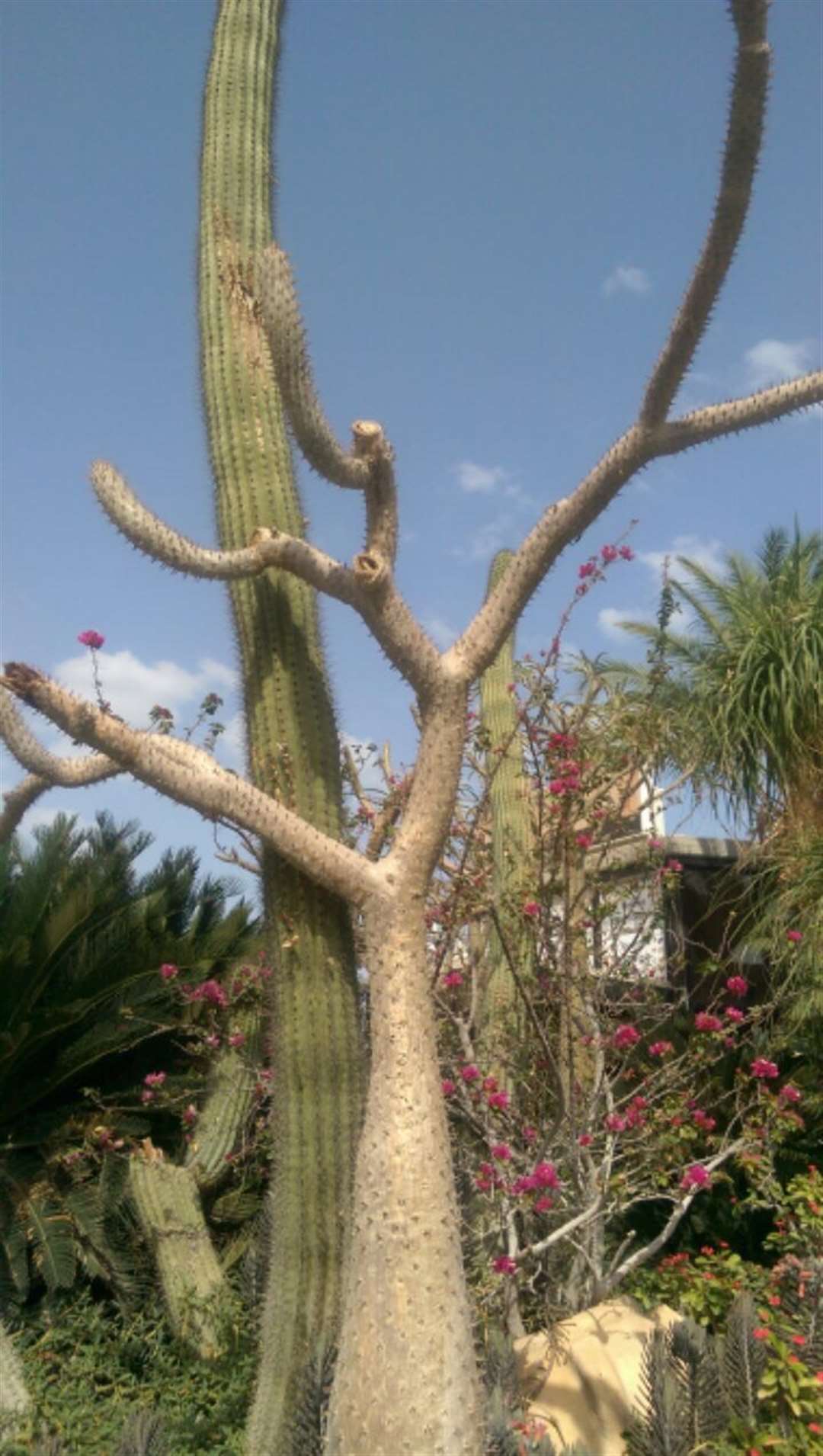 The botanical gardens in Jerusalem