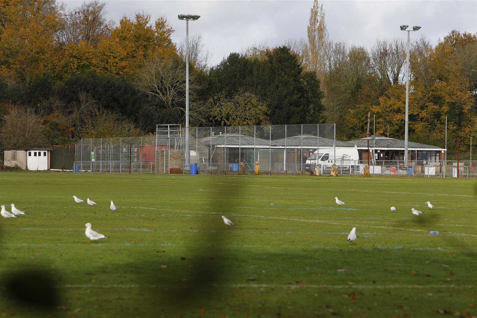 Ashford Hockey Club