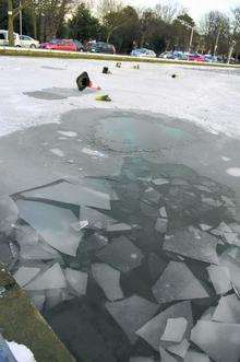 The icy pond in Radnor Park