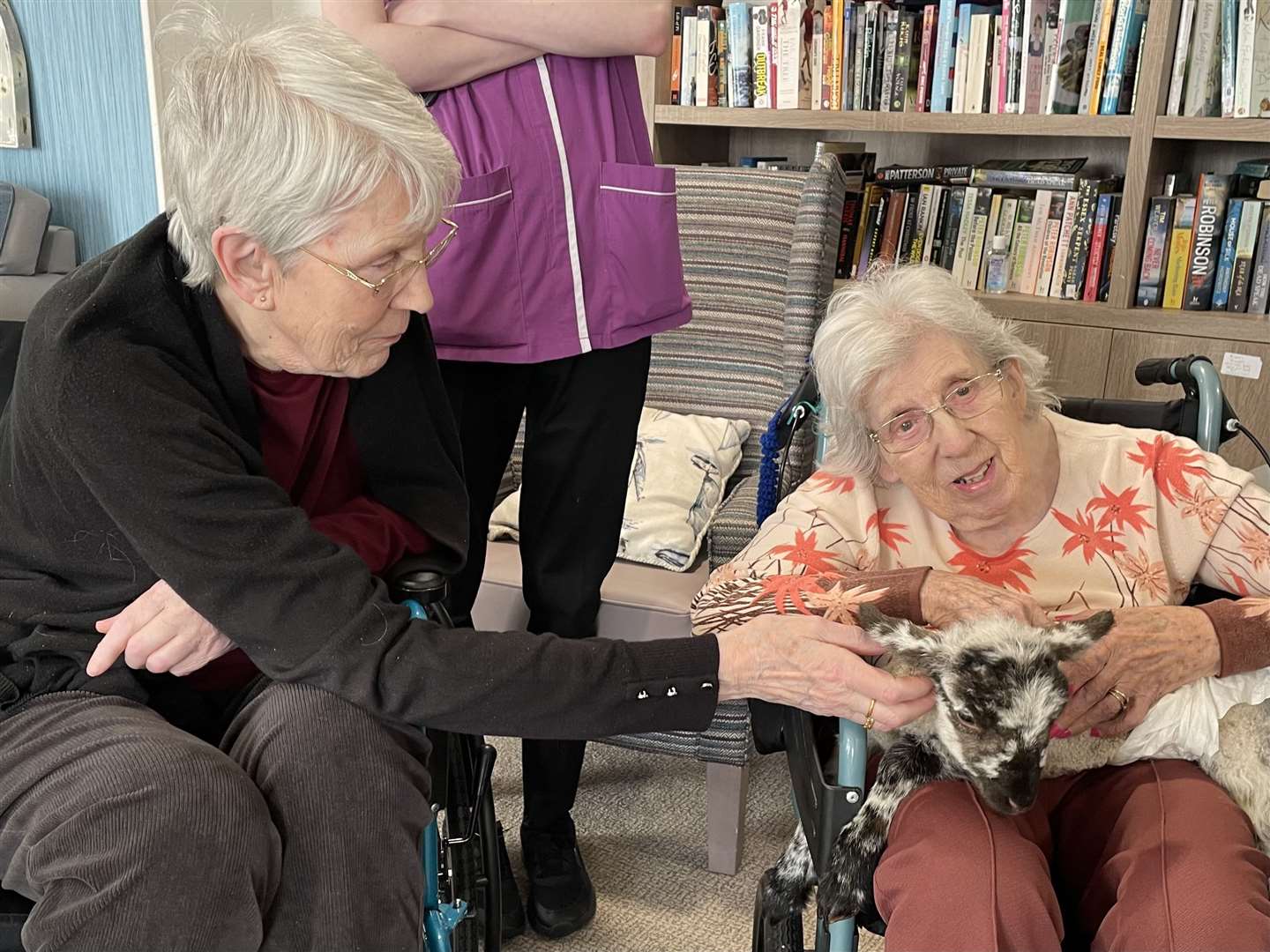 Three lambs in nappies were taken to Harrier Lodge in Whitstable to delight elderly residents. Picture: Harrier Lodge