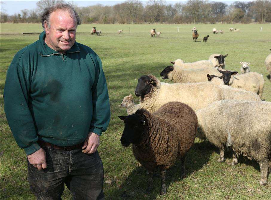 Farmer Roger Cooper loses 36 ewes and lambs in bloodbath after twin dog ...