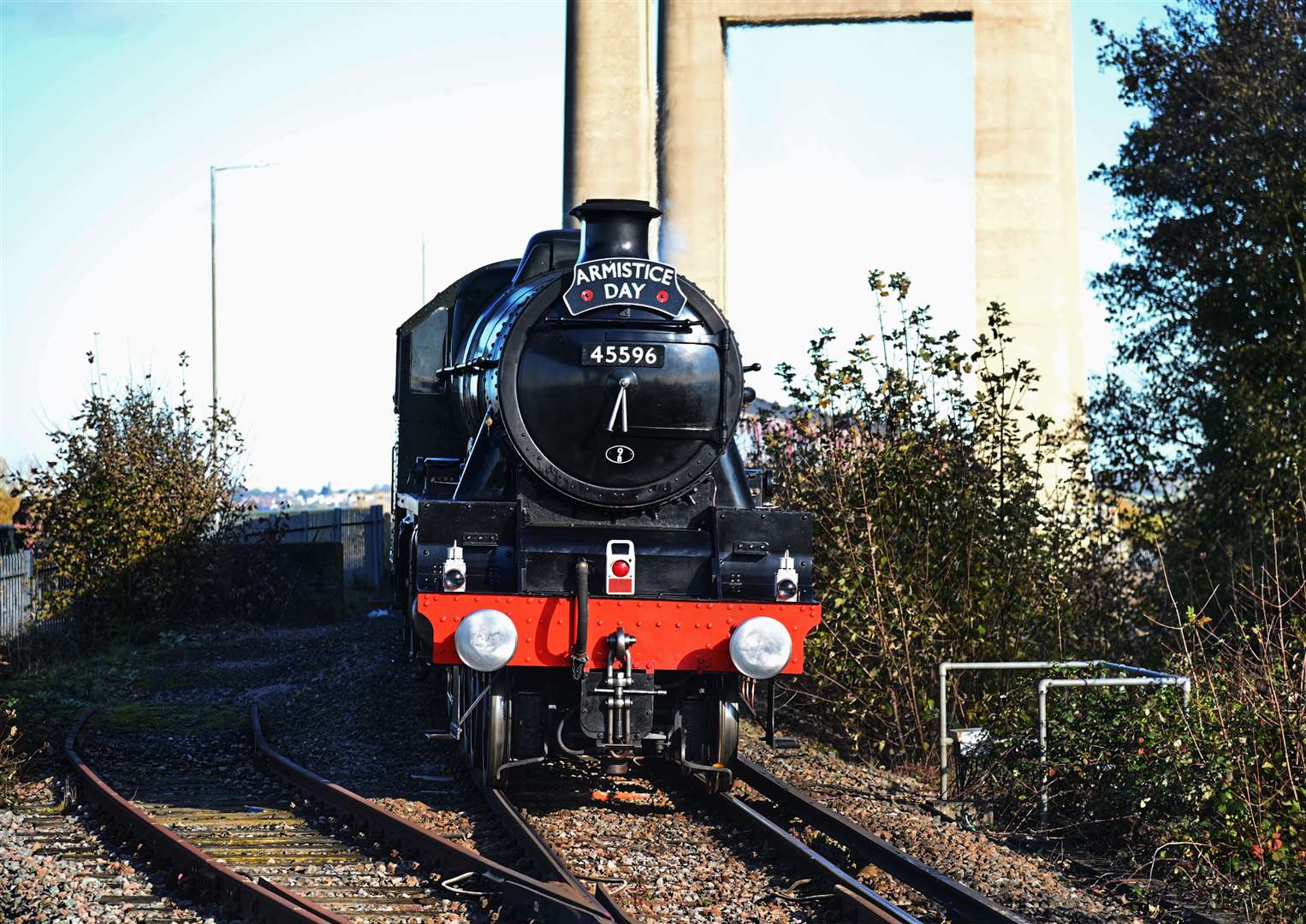 The Armistice Kentish Belle. Picture: Jason Arthur