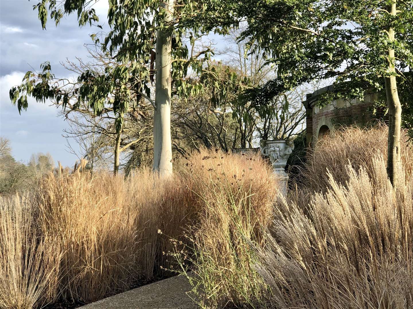 Uncut grass in Faith's Garden, Hever Castle