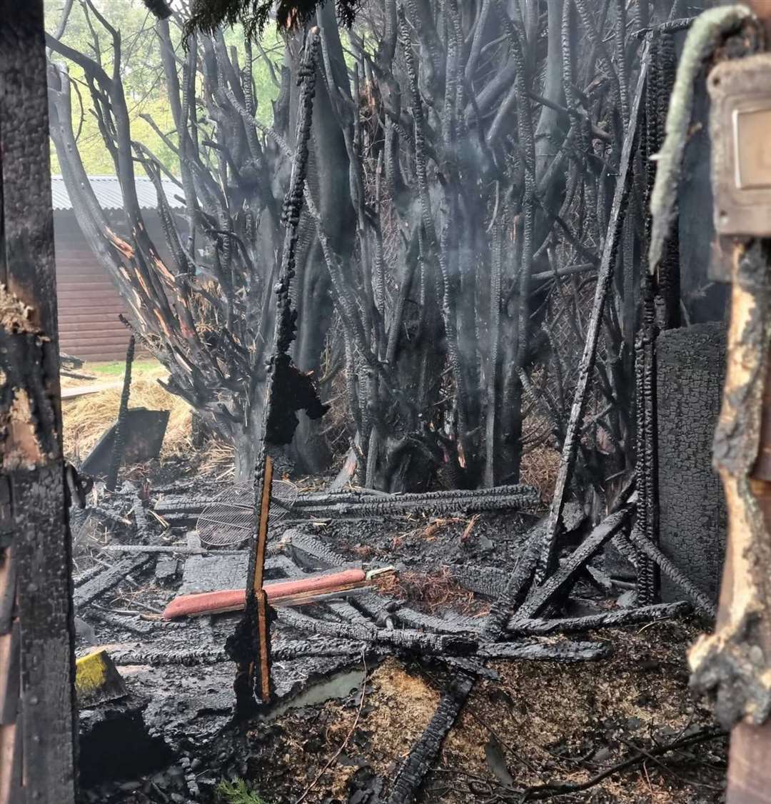 Two horses were rushed to safety after the fire took hold