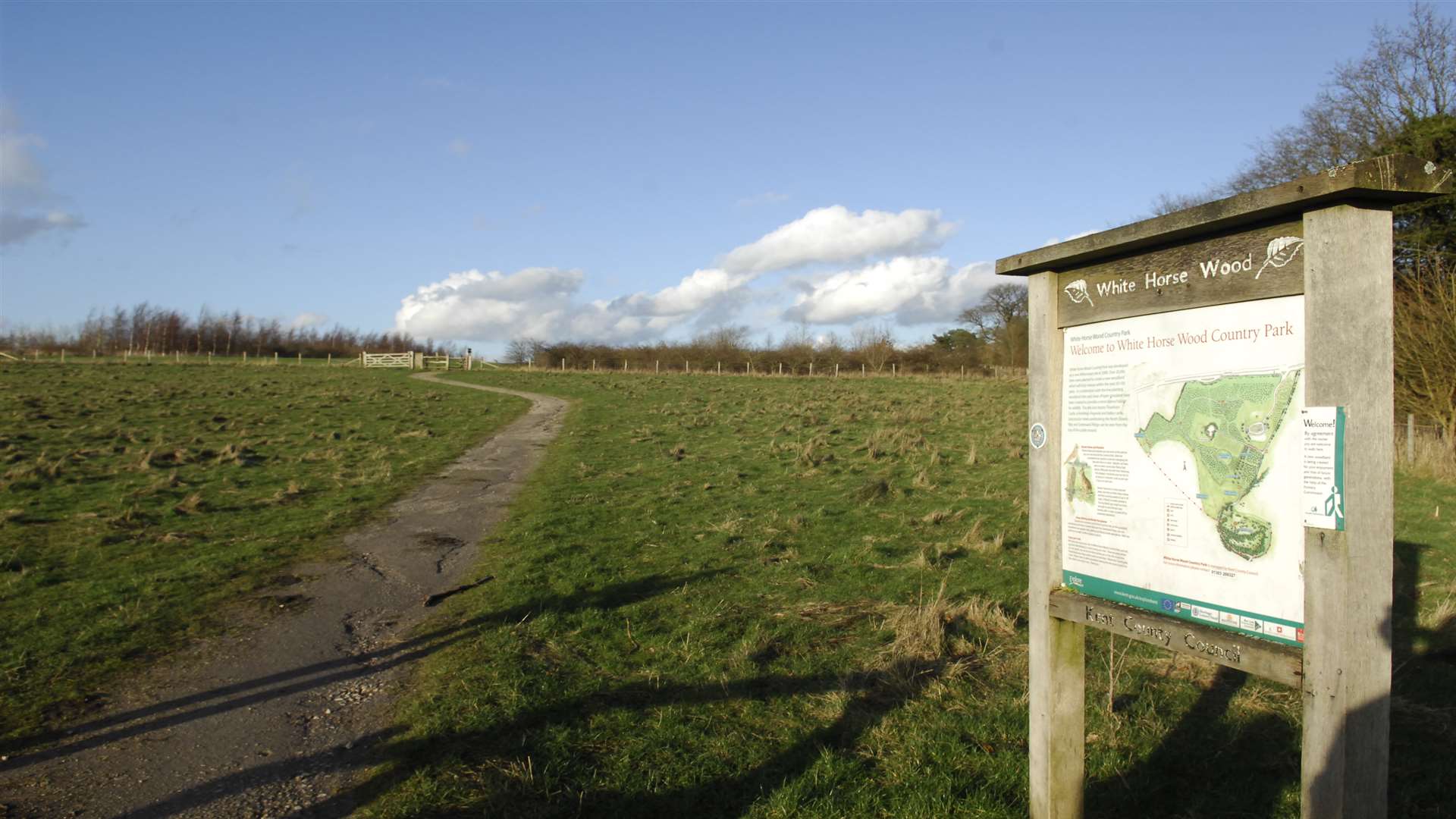 White Horse Wood at the top of Detling Hil