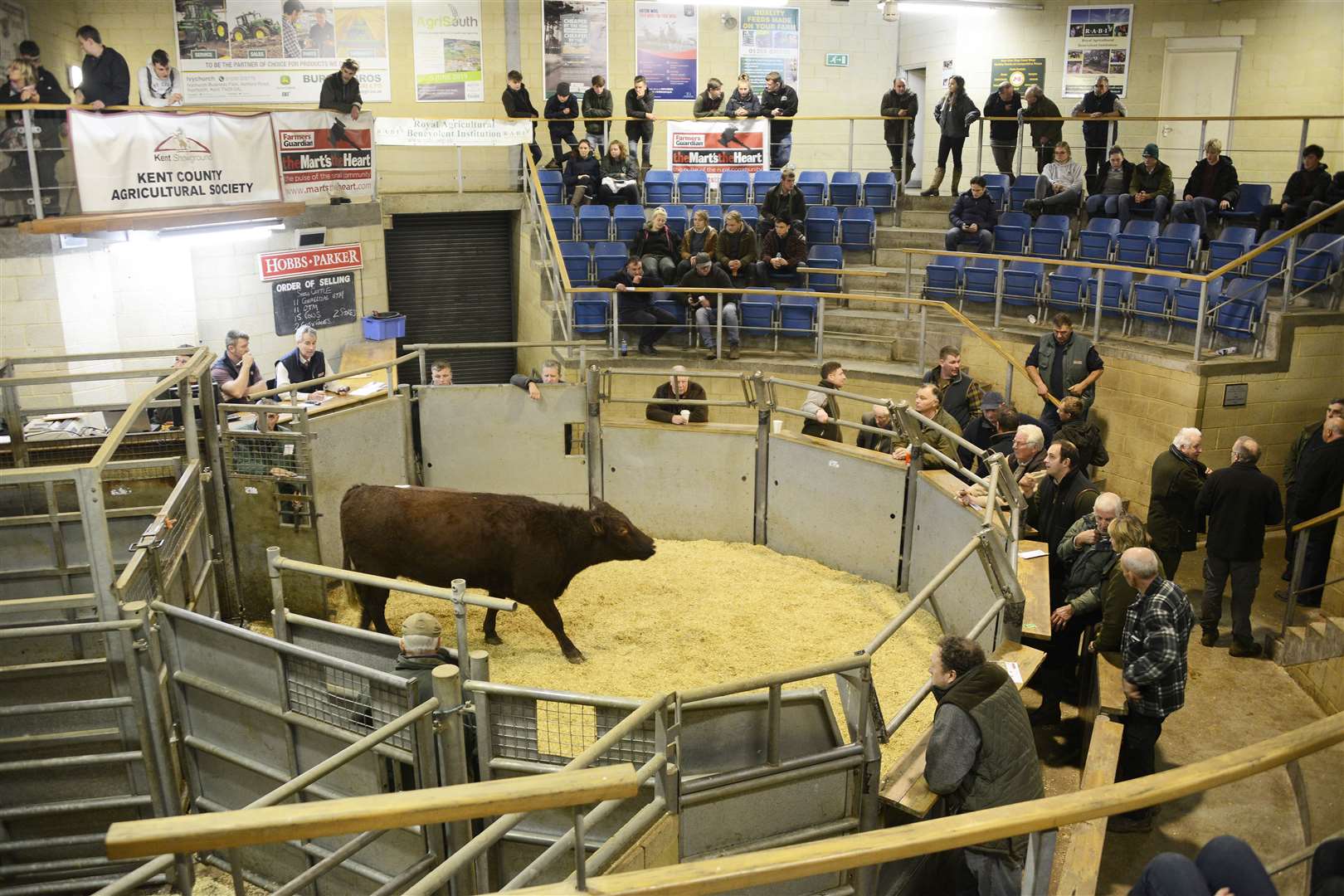 Ashford livestock market