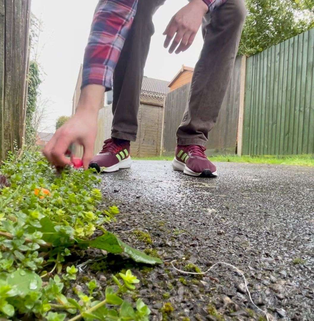 Kieran litter picks in his neighbourhood