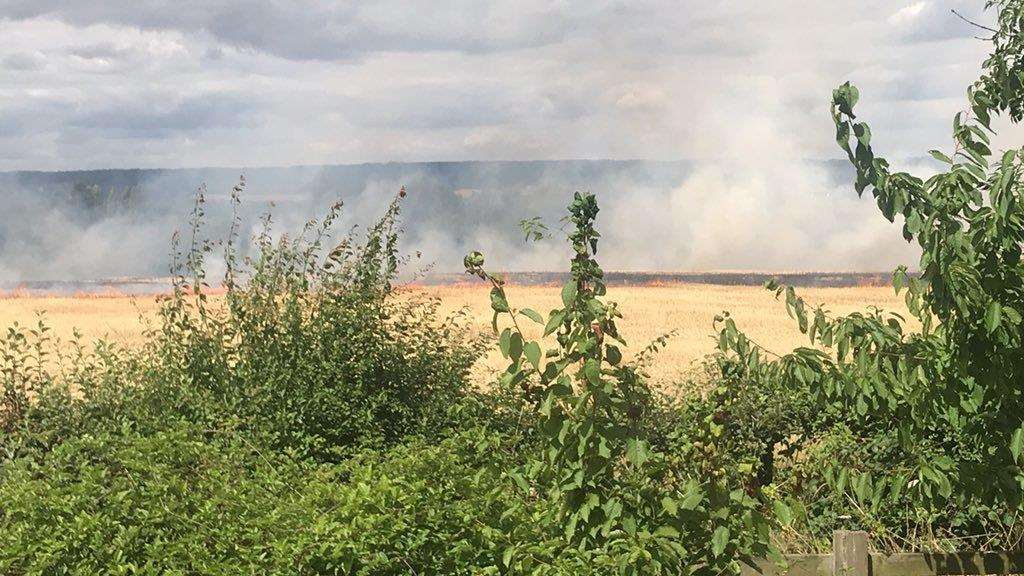 The fire off the A228 near West Malling. Picture: Harry Penn