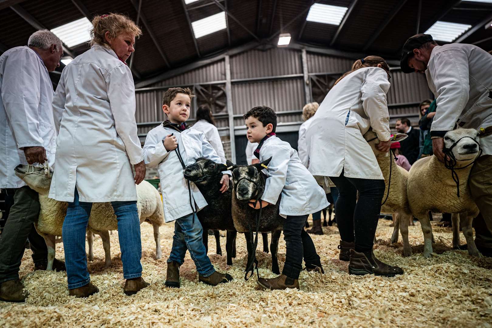 From left, brothers Jago Renfree-Hill, 5, and Lowen Renfree-Hill, 4, show their Blue Texel ewe lambs in class 28 (Ben Birchall/PA)