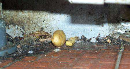 Food and dirt was found beneath the sink at the Anchor and Hope pub