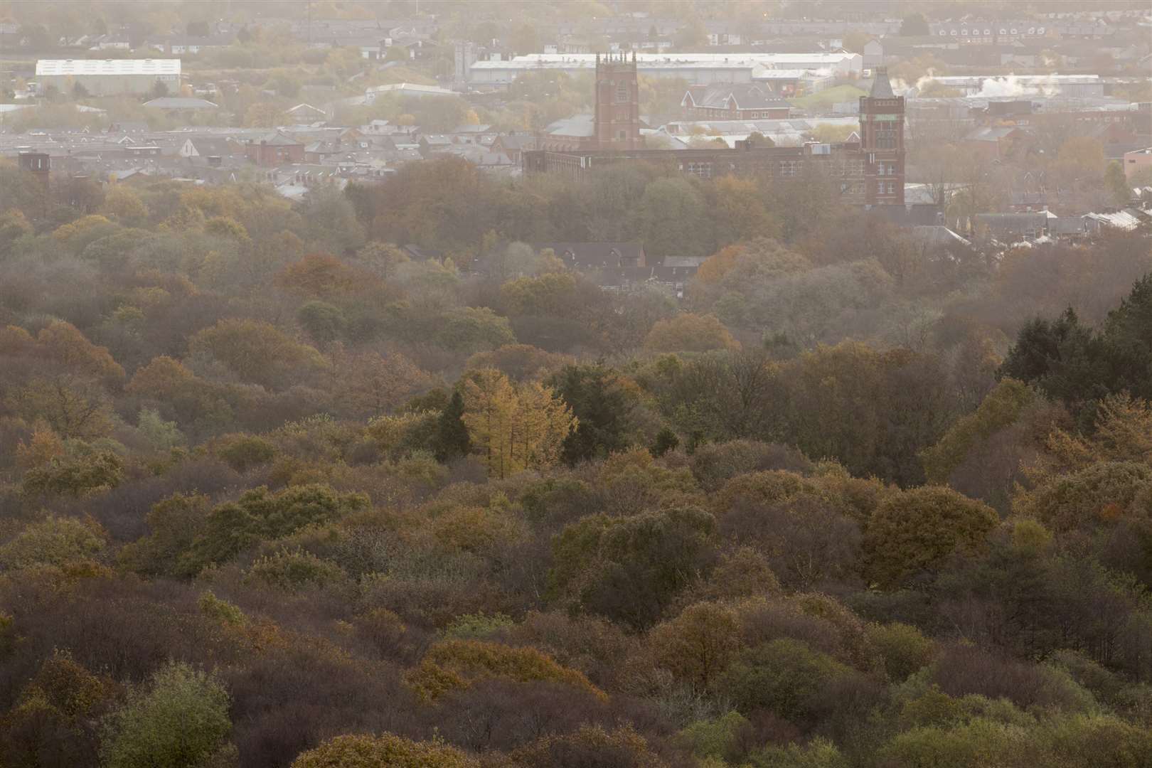 There are now 300,000 more households that are less than a 10-minute walk away from publicly accessible woodland (John MacPherson/Woodland Trust/PA)