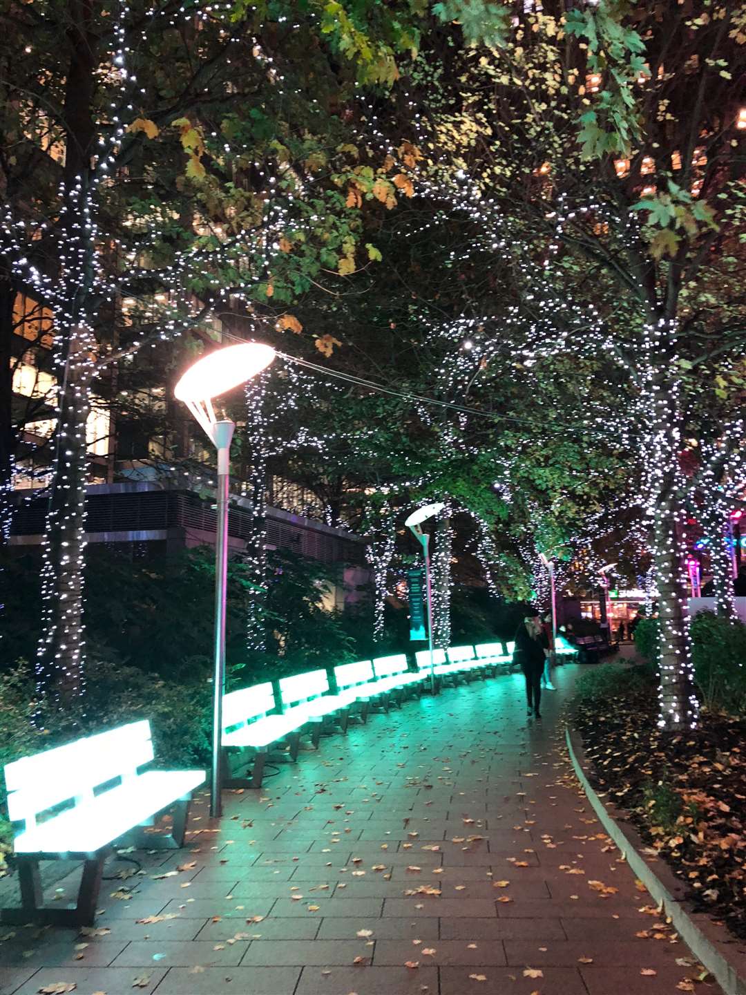 The twinkling lights make for a perfect Christmas setting at Canary Wharf Ice Rink (5185821)