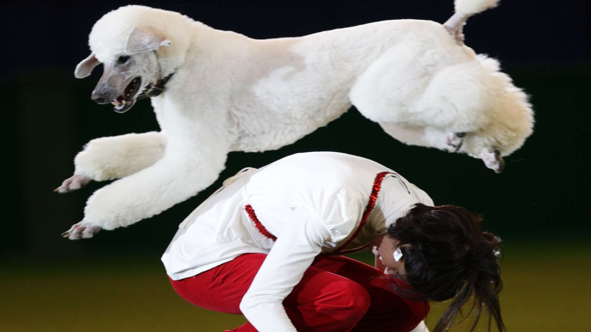 Dog World reported from dog shows like Crufts. Pic from onEdition
