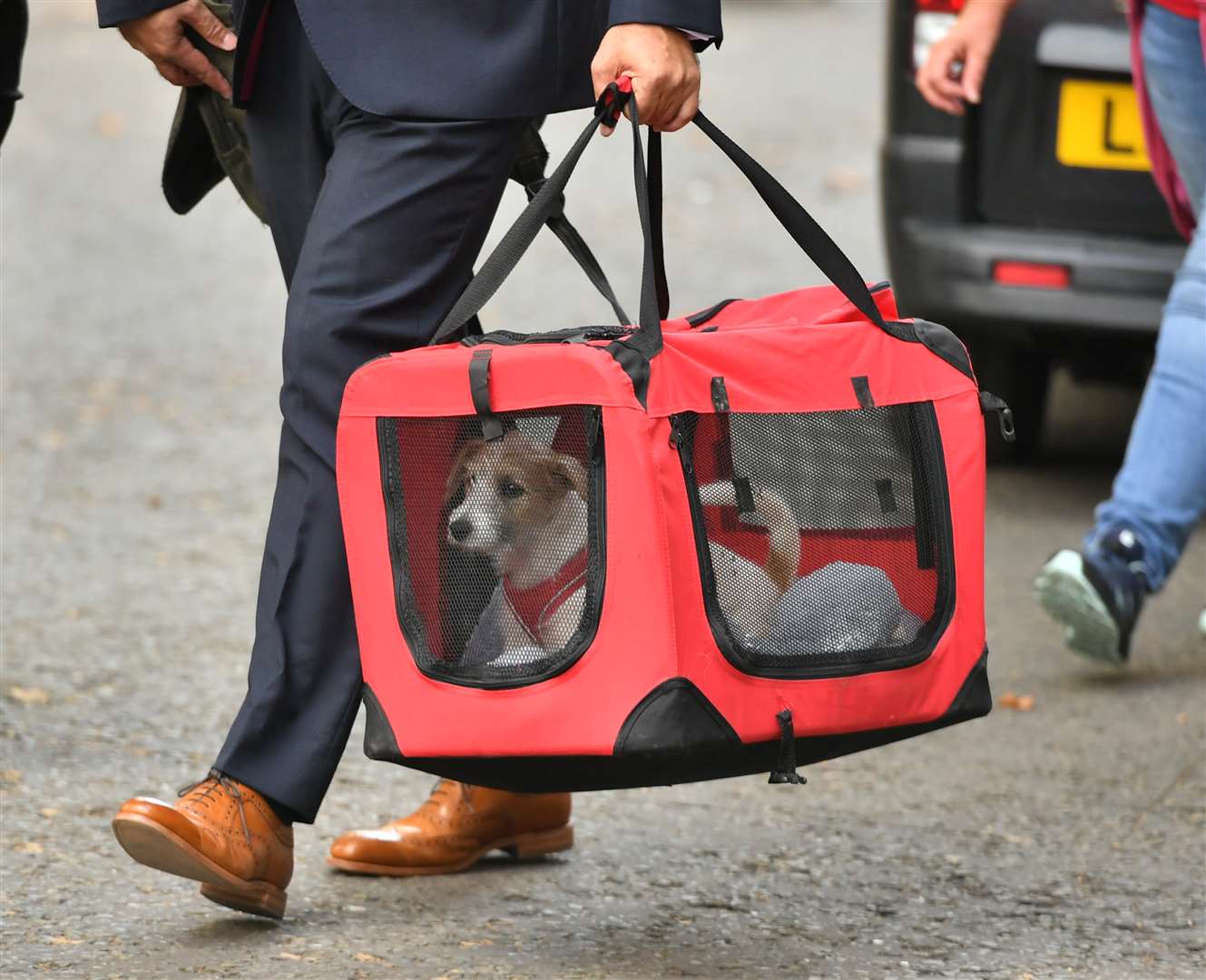 The couple adopted a 15-week-old Jack Russell-cross puppy (Dominic Lipinski/PA)