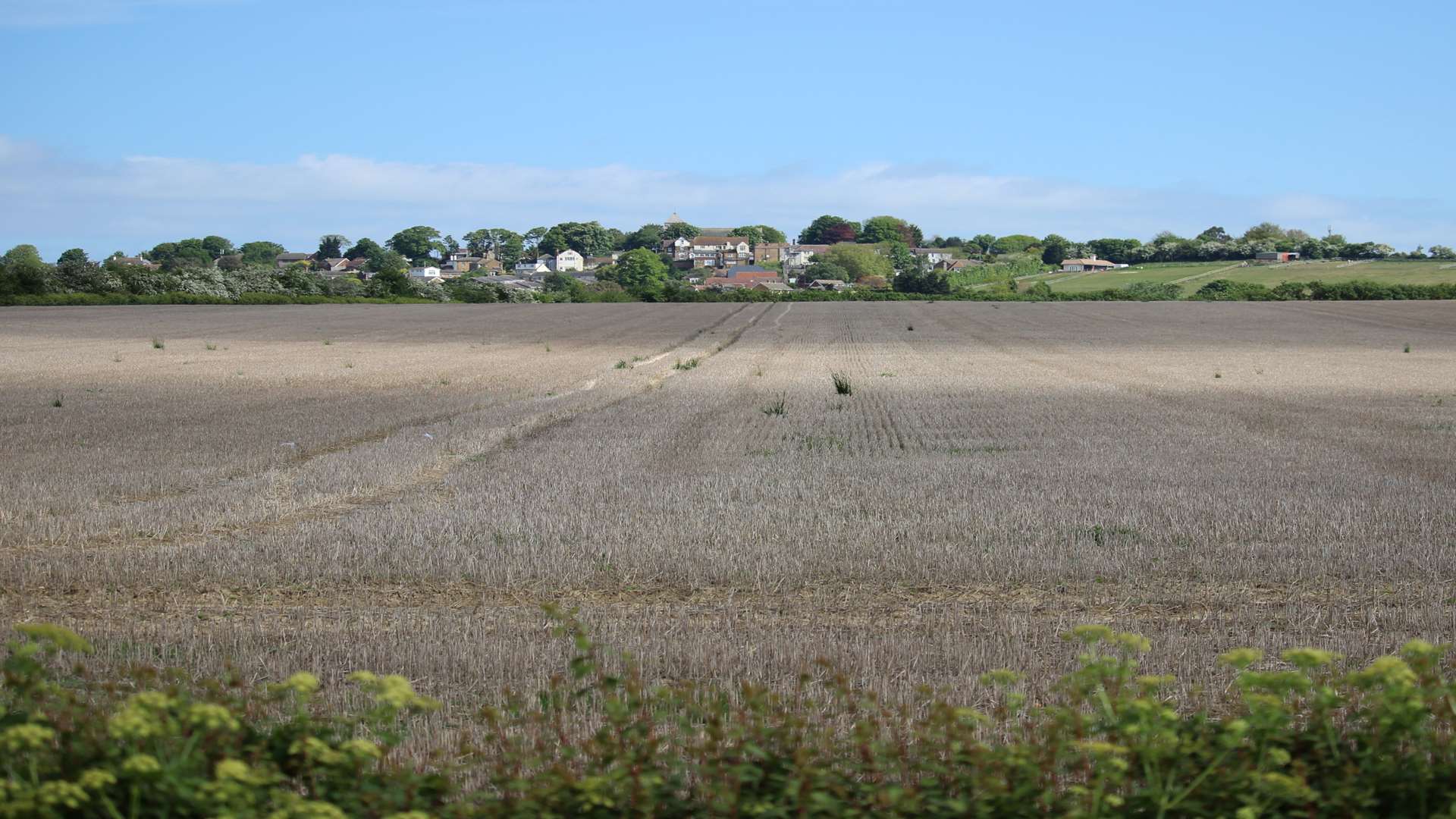 The "desert fields" of Sheppey