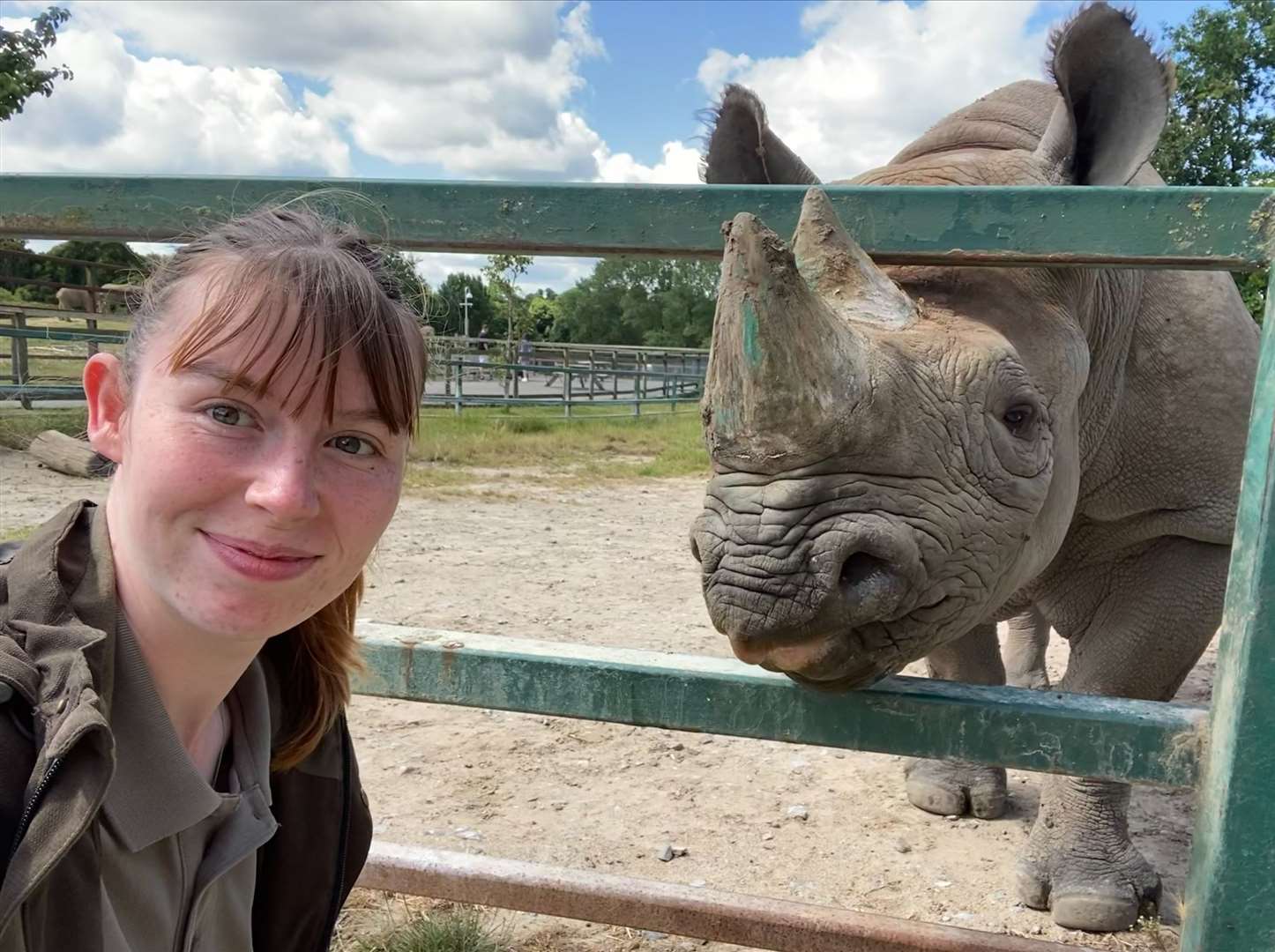 Ren and Damara the rhino. Photo: Howletts Wildlife Park