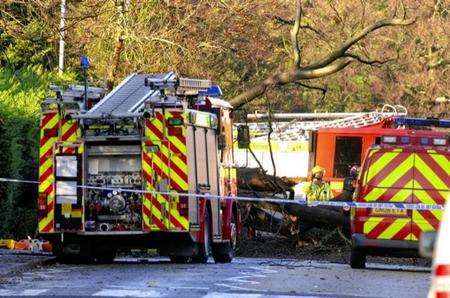 This tree crushed a van in Tunbridge Wells