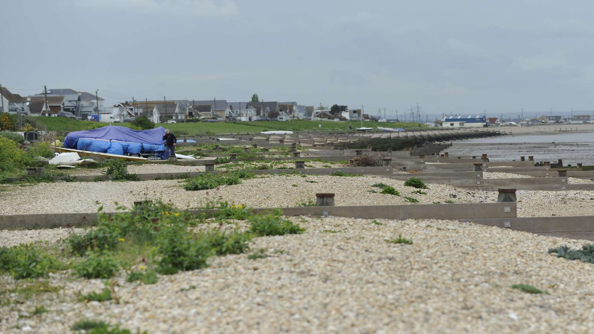 Dog was killed on Seasalter beach