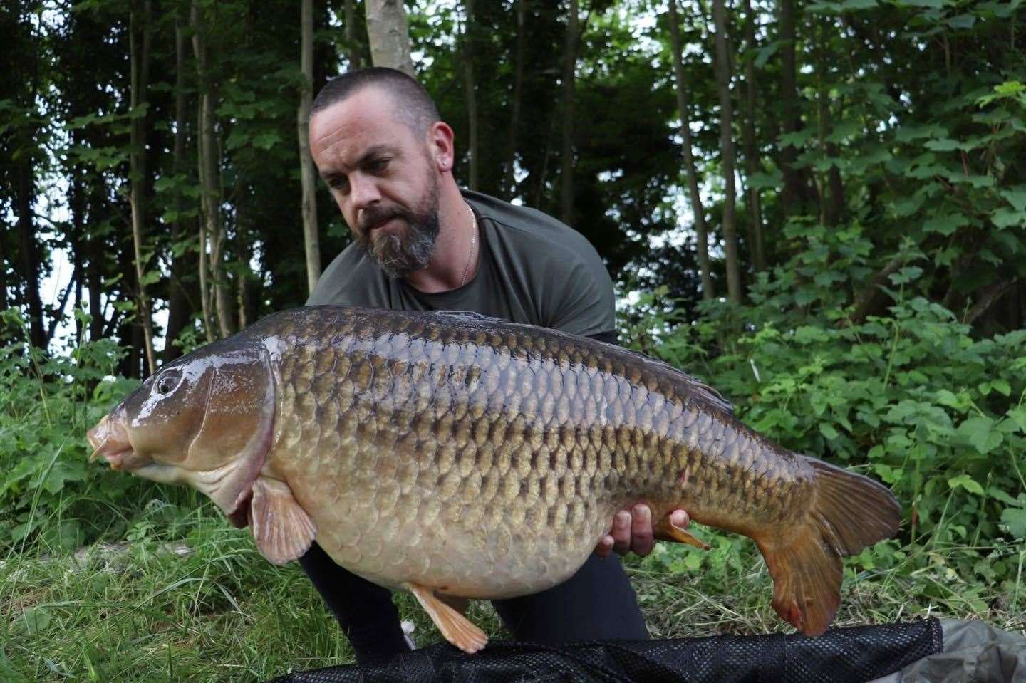 Dan Willows landed this common carp on the canal in Hythe (35807957)