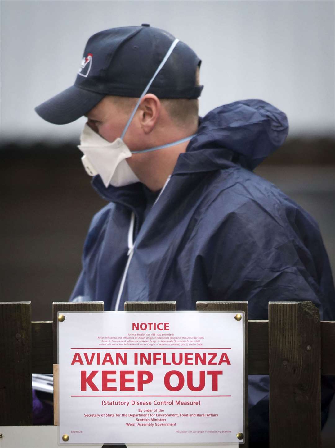 A farm in 2016, when a suspected case of bird flu was identified in chickens (Danny Lawson/PA)