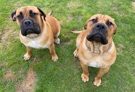 Harry with his sister Karma