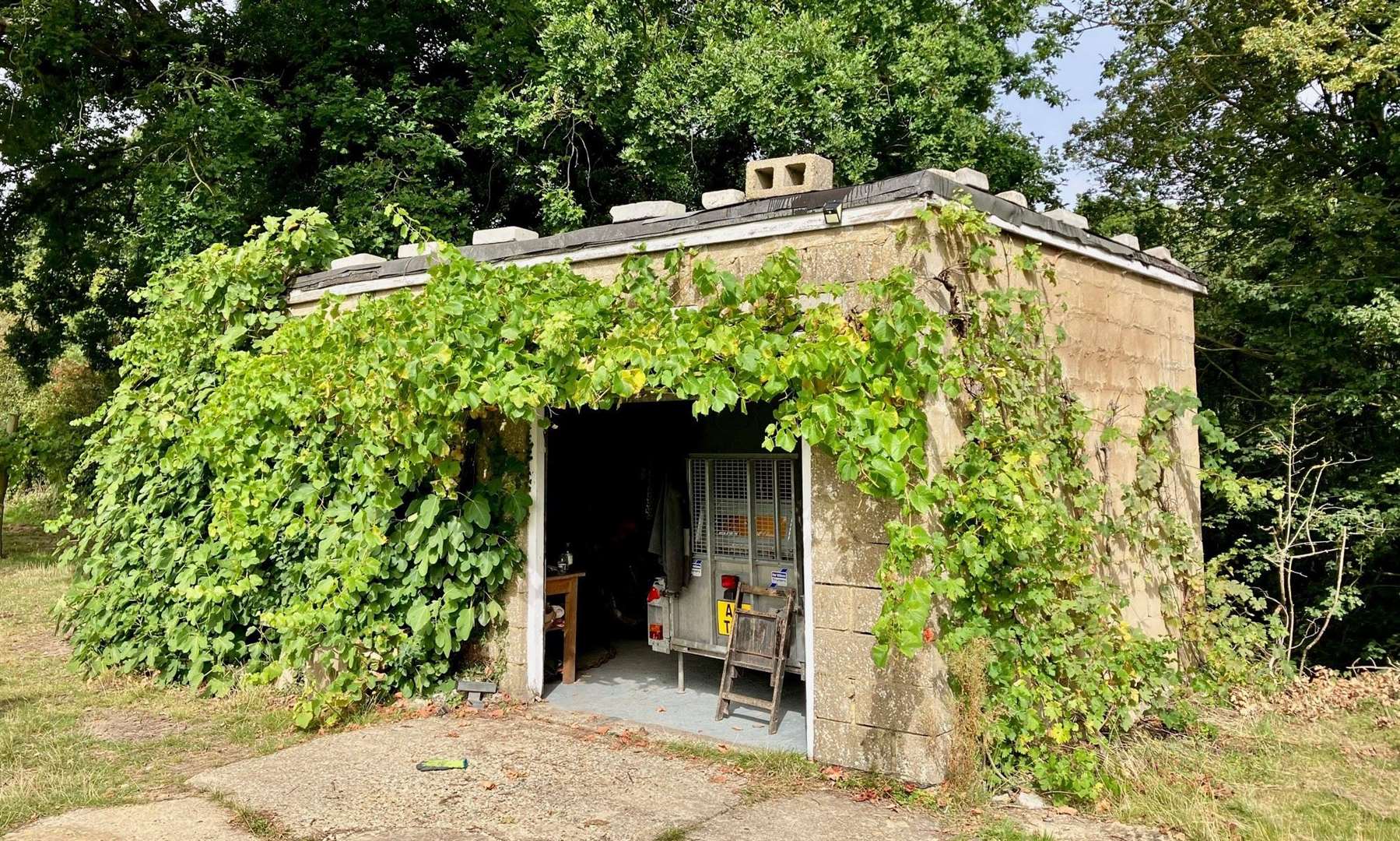 Wine is produced and bottled on site at the family-run vineyard. Picture: Savills