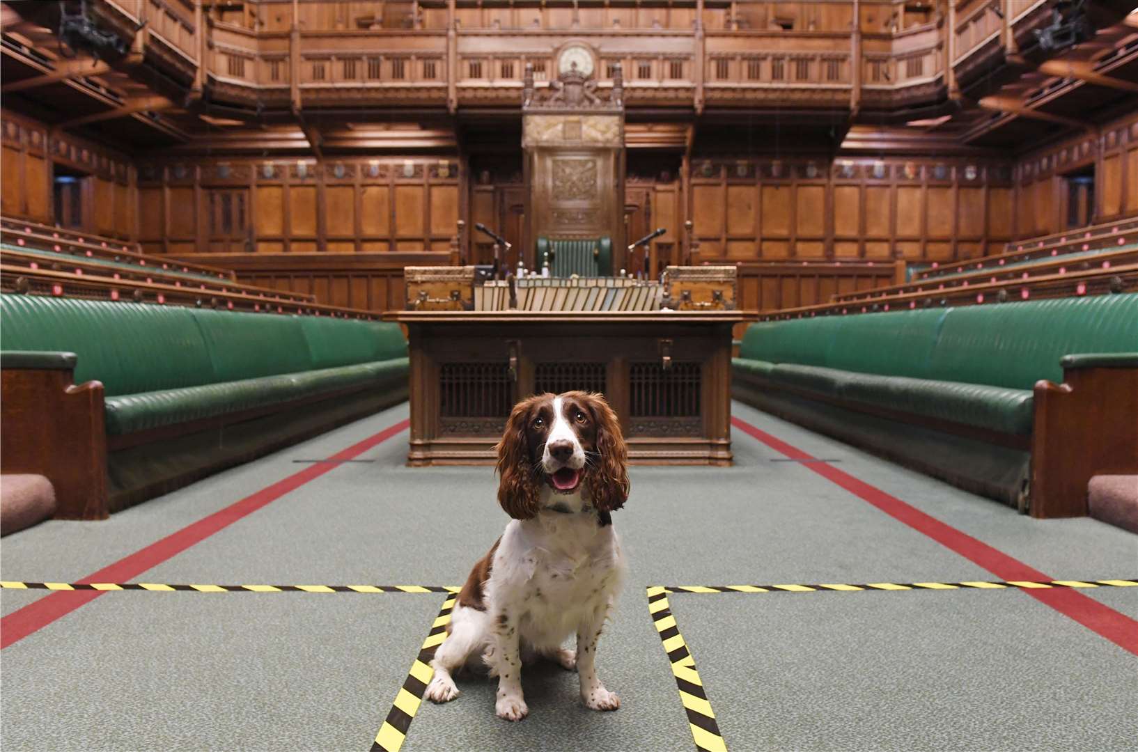 Five-year-old Poppy in the Commons (Jessica Taylor/UK Parliament)